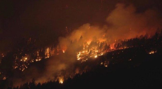 Les forêts du Népal ravagées par le feu